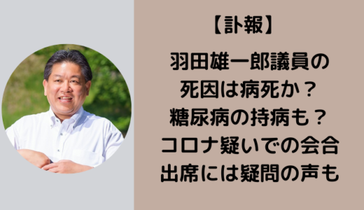羽田雄一郎の死因はコロナ死で糖尿病の持病が？！12月23日には長野で会合に出席